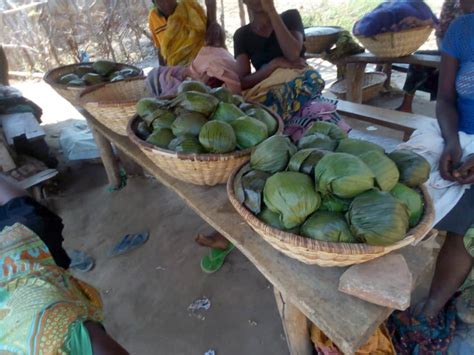 Burundi Eco Rumonge Le Chikwangue Une Recette Traditionnelle