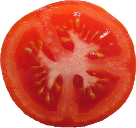 Tomato | Vegetables photography, Tomato, Photo texture