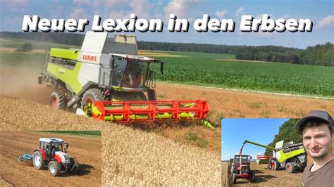 Erbsen Dreschen Und Grubbern Bauernhofteam Claas Lexion