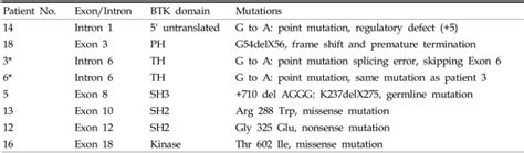 Summary Of Mutations In The Bruton Tyrosine Kinase Gene Of The Patients