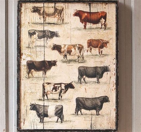 Framed Vintage Cow Breeds Cow Decor Cow Wall Art Antique Farmhouse