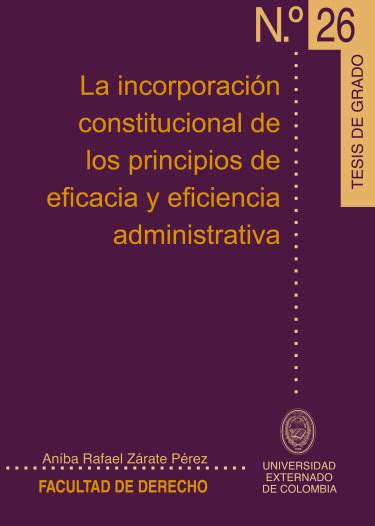 Libro La Incorporación Constitucional De Los Principios De Eficacia Y