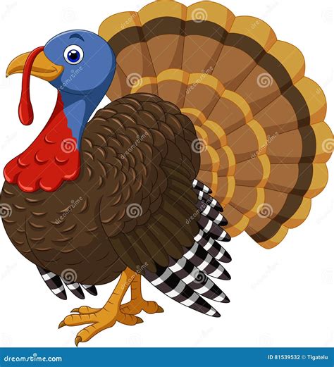 Cartoon Turkey Character Stock Vector Illustration Of Pilgrim 81539532