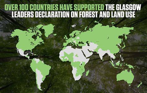 Over Global Leaders At Glasgow Pledge To End Deforestation By