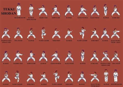 Karate World Kata Names And Movements With Pictures And Video