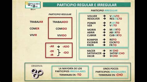 Particípios Regulares E Irregulares Sololearn