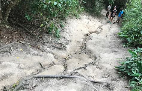 Como fazer a trilha da Pedra do Telégrafo Pé na Estrada