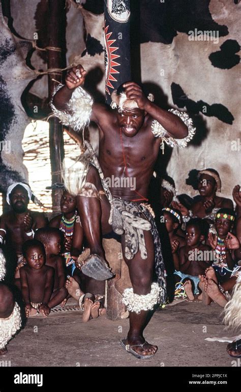 Zulu People At The Shakaland Zulu Village Nkwalini Valley Kwazulu Natal South Africa Stock