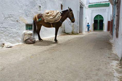 Road Trip In Morocco - One Of The Best Ways To Explore The Country!