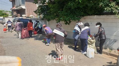 미추홀구 주안4동 깨끗한 마을 가꾸기 행복홀씨 입양사업 경인매일 세력에 타협하지 않는 신문