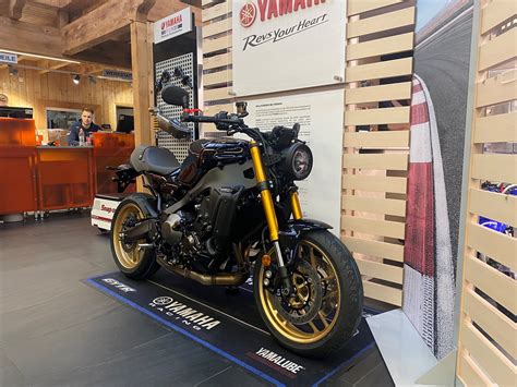 Details Zum Custom Bike Yamaha Xsr900 Black And Gold Des Händlers Zweiradsport Meine