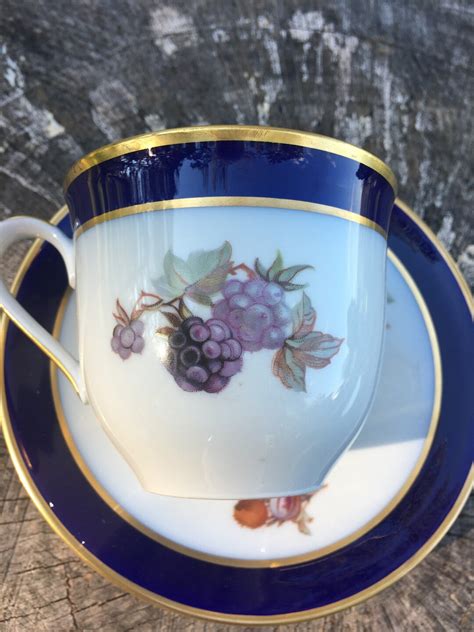 Echt Cobalt Blue Bountiful Fruit Cup And Saucer Bavaria Schumann