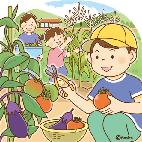 畑の野菜を収穫するこどもたちのイラスト（ソフト） 子供と動物のイラスト屋さん わたなべふみ