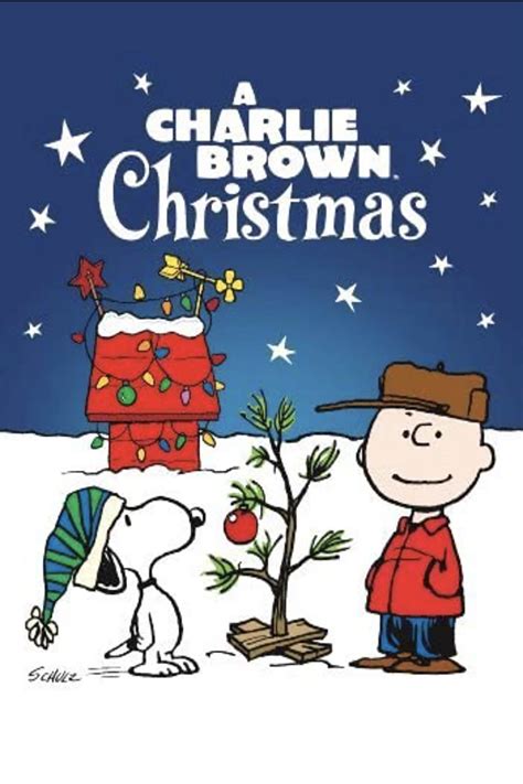 You Are Not Elected Charlie Brown 7