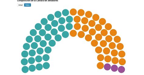 Quién Es Quién El Perfil De Los Senadores Que Ingresan El 10 De