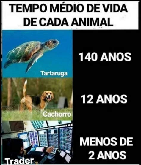 trader memes memedroid