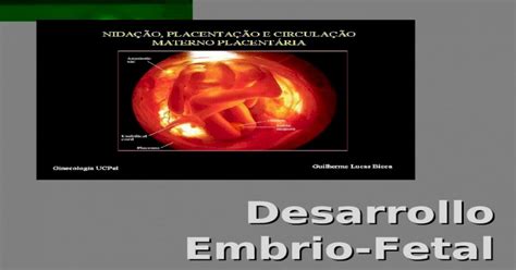 Desarrollo Embrio Fetal Y Placentaci N Ppt Powerpoint