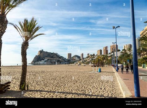 Poniente Beach In Benidorm Stock Photo Alamy