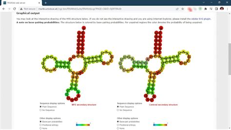 Rna Secondary Structure Folding Prediction Using Rnafold Youtube