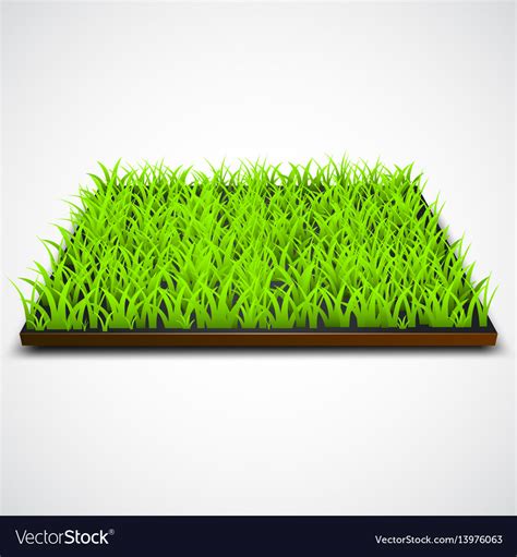 Square Of Green Grass Field Royalty Free Vector Image