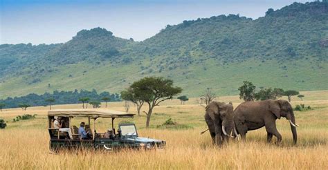 Safari In Campeggio Di Giorni Tarangire Ngorongoro E Serengeti