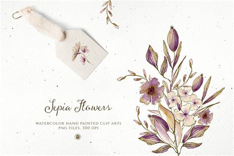 Sepia Flowers | Decorative Illustrations ~ Creative Market