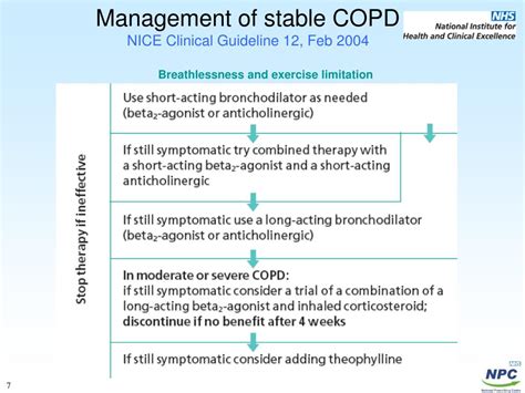 Ppt Chronic Obstructive Pulmonary Disease Powerpoint Presentation Free Download Id 4653006