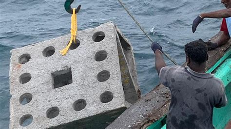 Artificial Reefs To Be Deployed In 3 477 Fishing Villages In India With