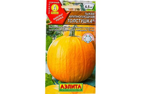 Семена АЭЛИТА Тыква крупноплодная Толстушка 00-00572332 - выгодная цена ...