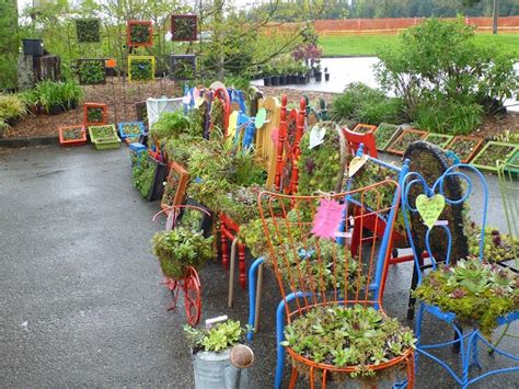 Snohomish County Master Gardener Plant Sale 2012 Plant Sale Plants