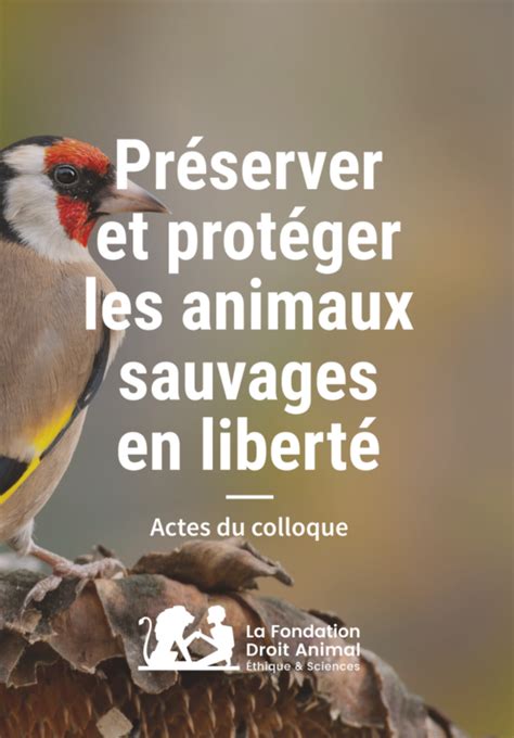 Pr Server Et Prot Ger Les Animaux Sauvages En Libert