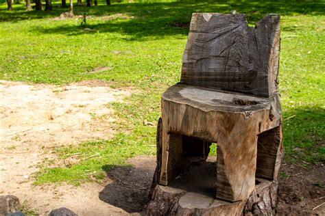 How To Make A Tree Stump Chair All You Need To Know Checkatrade