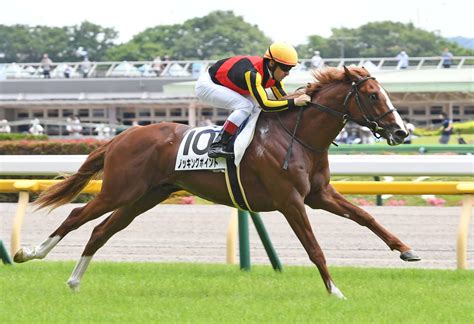 ノッキングポイント“東の一番星” 抜群スピードで他馬圧倒 ルメール「能力ありそう」 競馬ニュース