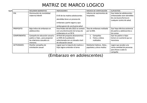 Matriz DE Marco Logico Jytfj MATRIZ DE MARCO LOGICO Kjyhi RESUMEN