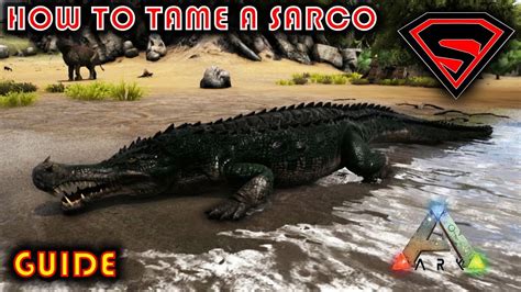 how to tame a sarco in ark mobile - Chloe Reid