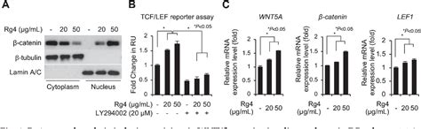 Table 1 From Ginsenoside Rg4 Enhances The Inductive Effects Of Human