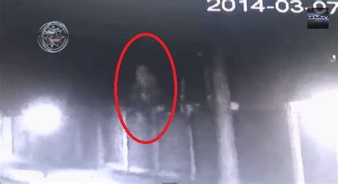 Video Humanoid Alien Caught Spying On Russia Unexplained Mysteries