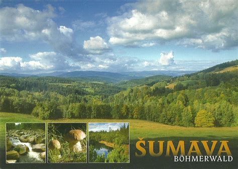 Sumava National Park, Czech Republic | Postcardaholic