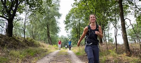 Route Informatie 4daagse Apeldoorn