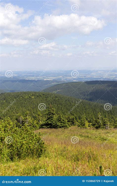 Mountain Jesenik In Moravia Very Green And Clear Nature With Cleanest