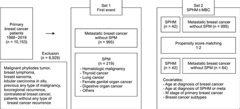 Survival Analysis Of Breast Cancer Patients After Diagnosis Of Second Primary Malignancies