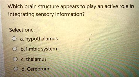 Which Brain Structure Appears To Play An Active Role In Integrating