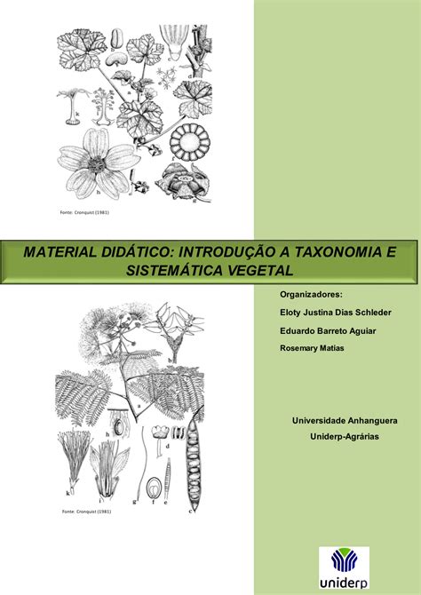 Introdução a Taxonomia E Sistemática Vegetal DocsLib