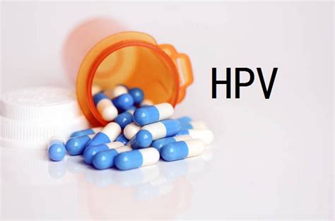 Hpv43低危型阳性是什么引起的 哔哩哔哩