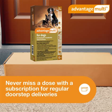 Advantage Multi For Dogs 881 110 Lbs6 In 1 Heartworm Prevention