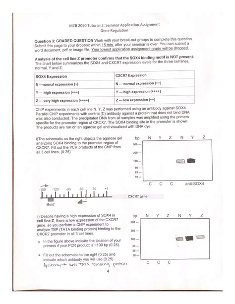 MCB 2050 Tutorial 3 Seminar Application Assignment MCB 2050 Studocu