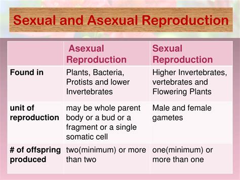 Ppt Reproduction In Flowering Plants Powerpoint Presentation Free