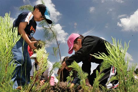 Recupera México Su Vocación Forestal Secretaría De Medio Ambiente Y