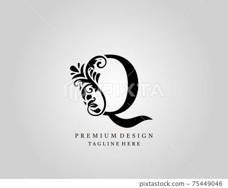 Luxury Monogram Letter Q Logo Design Elegant Stock Illustration