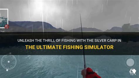 Unleash The Thrill Of Fishing With The Silver Carp In The Ultimate